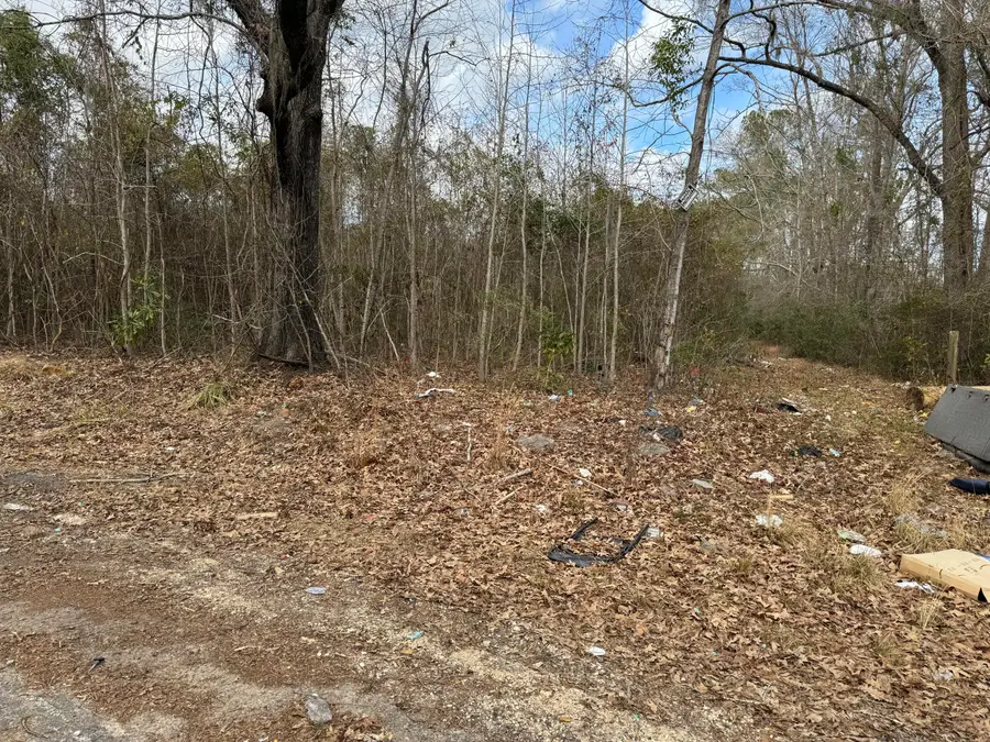 5510 Mauss Hill Road, Adams Run, SC 29426 - Image #2