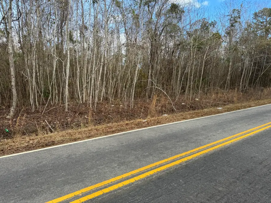 5510 Mauss Hill Road, Adams Run, SC 29426 - Image #3