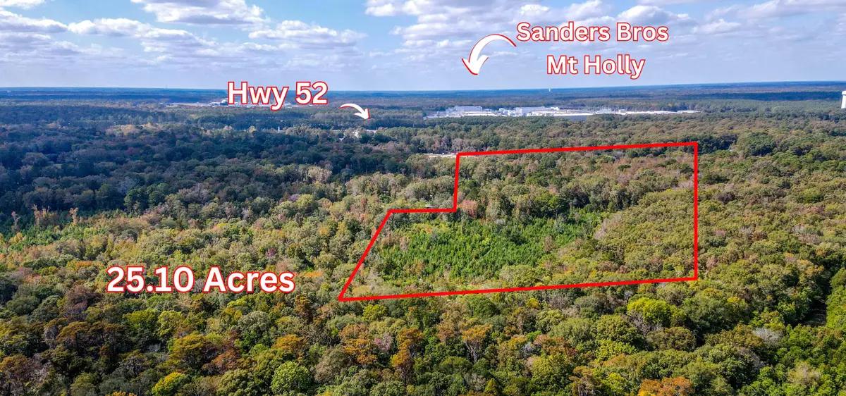 155 Goldenrod Lane, Moncks Corner, SC 29461 - #1