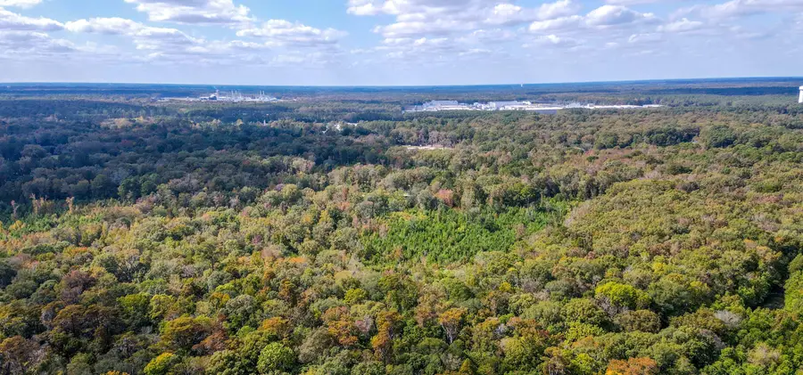 155 Goldenrod Lane, Moncks Corner, SC 29461 - #3