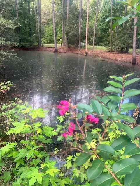 7810 Turtle Hill Lane, Edisto Island, SC 29438