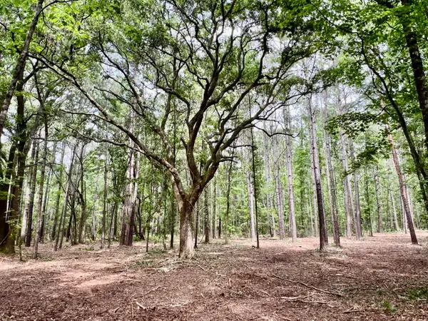 2 Becky Lane, Yemassee, SC 29945