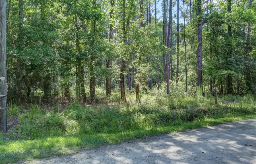 0 Paisan Road, Summerville, SC 29483 - #3