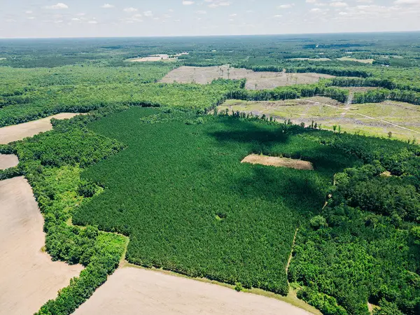 0000 Varnadoe Road, Islandton, SC 29929