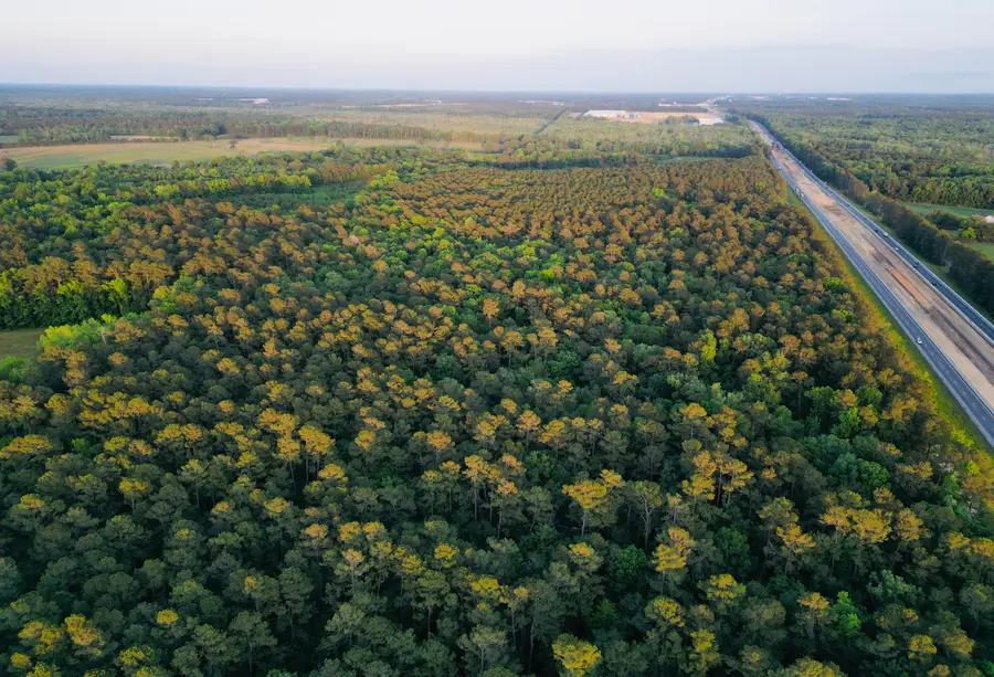 00 Fivel Lane, Ridgeville, SC 29472 - Image #3