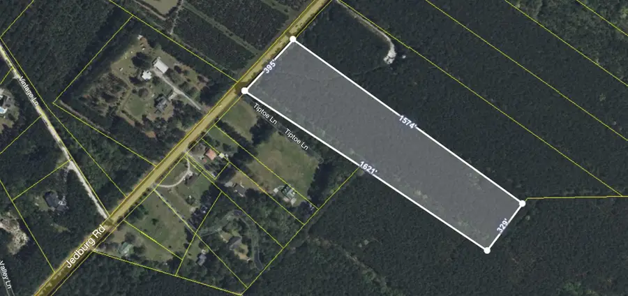 1700 Jedburg Road, Summerville, SC 29483 - #2