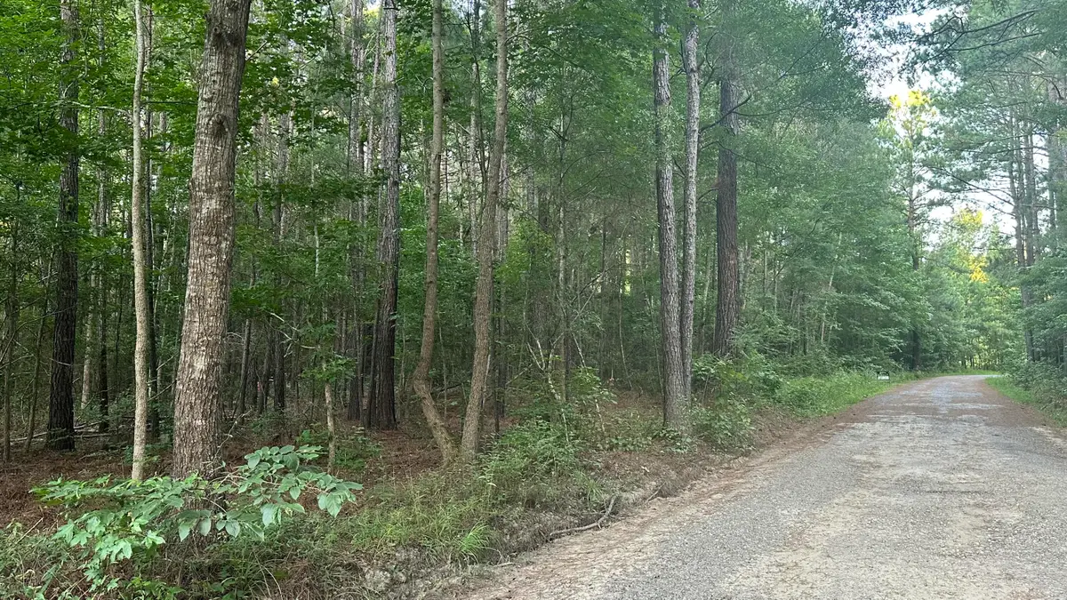 0 Pearl Acres Lane, Huger, SC 29450 - Image #1