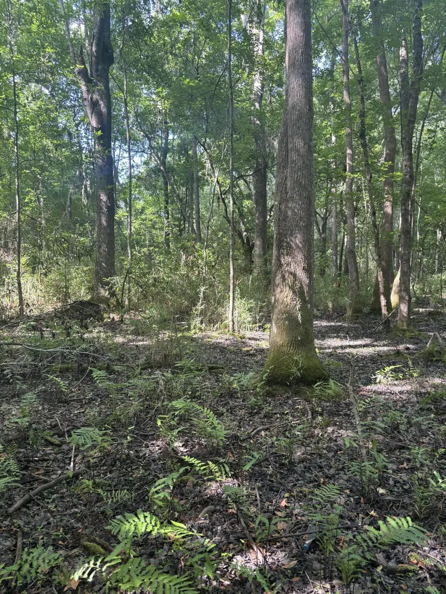 0 Back Pen Rd, Johns Island, SC 29455 - #3