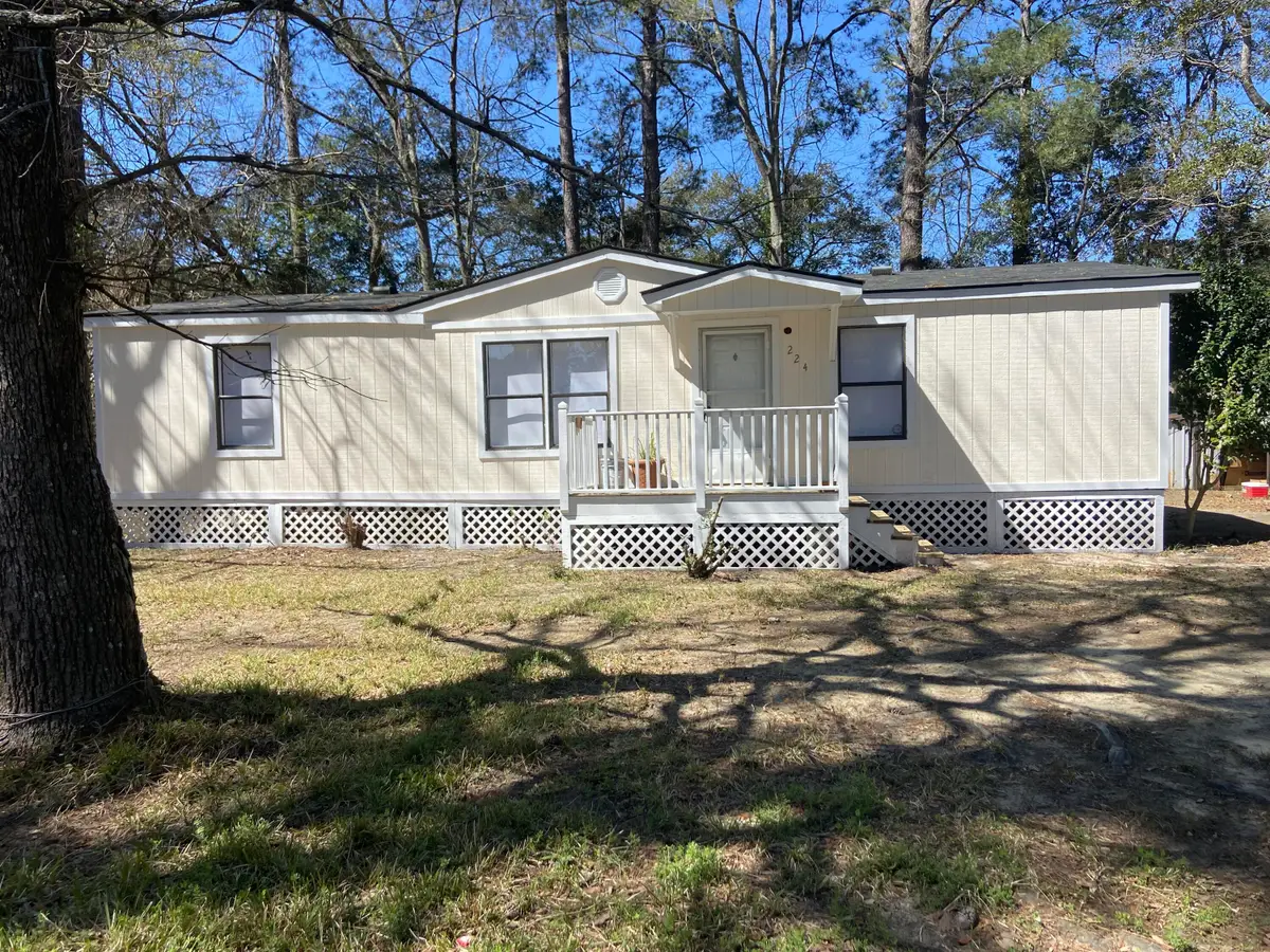 224 Ruth Anne Drive, Summerville, SC 29483 - #1