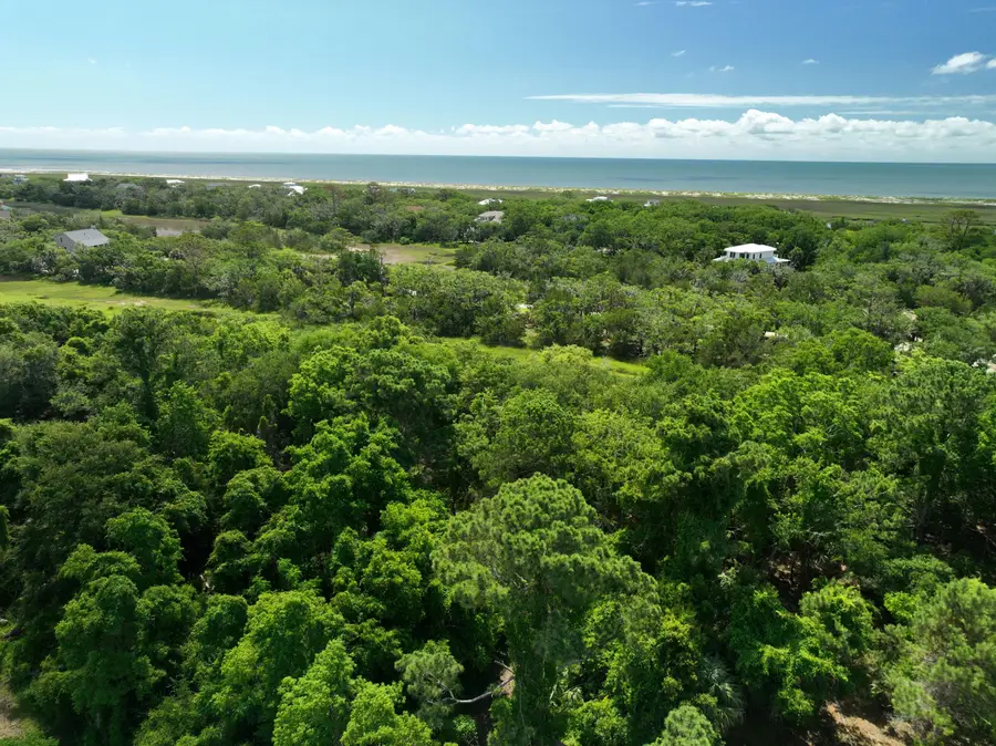 723 Jan Savage Way #Lot (A), Edisto Island, SC 29438 - Image #3