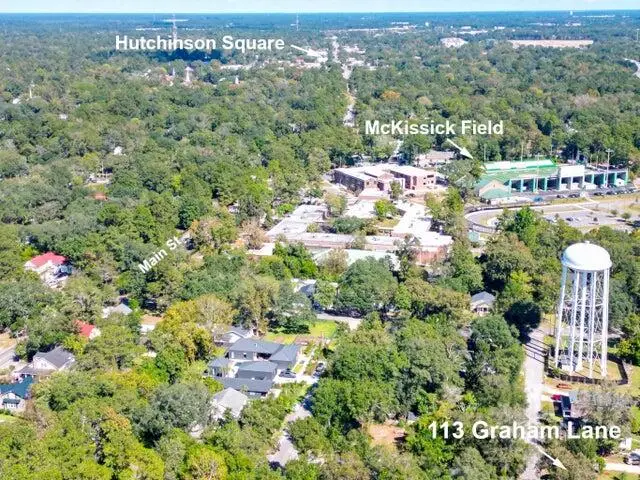 113 Graham Lane, Summerville, SC 29483 - Image #3