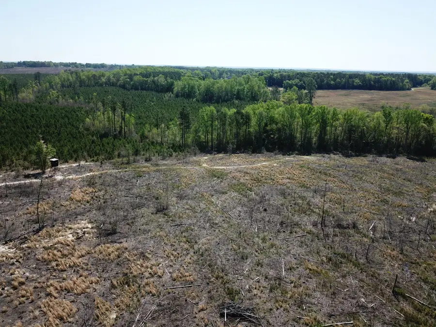 5659 State Rd S-28-31, Jefferson, SC 29718 - Image #2