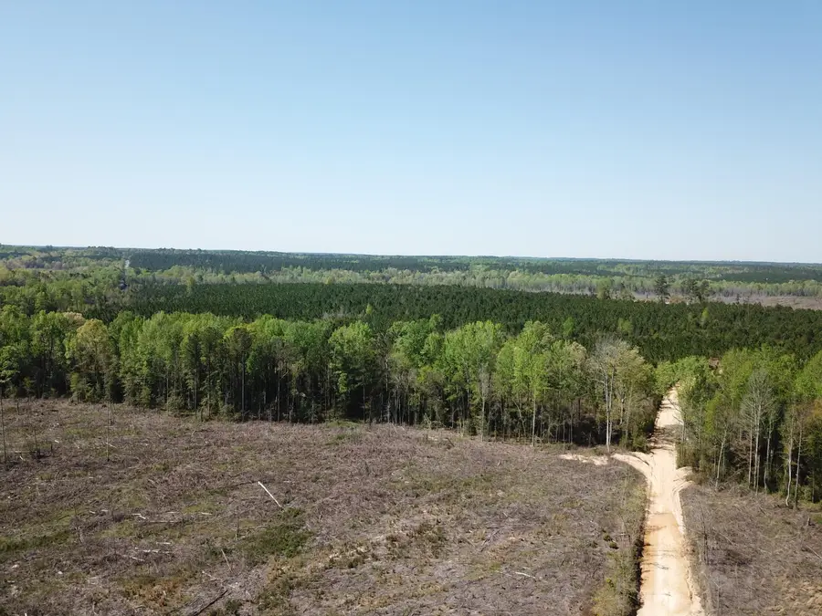 5659 State Rd S-28-31, Jefferson, SC 29718 - Image #3