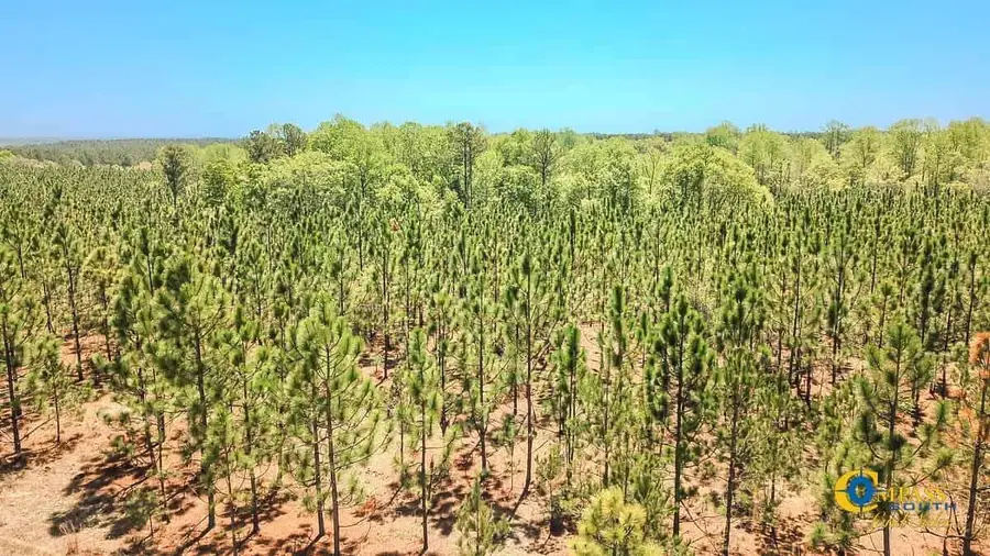 5659 Mt Pisgah Rd, Bethune, SC 29009 - Image #2