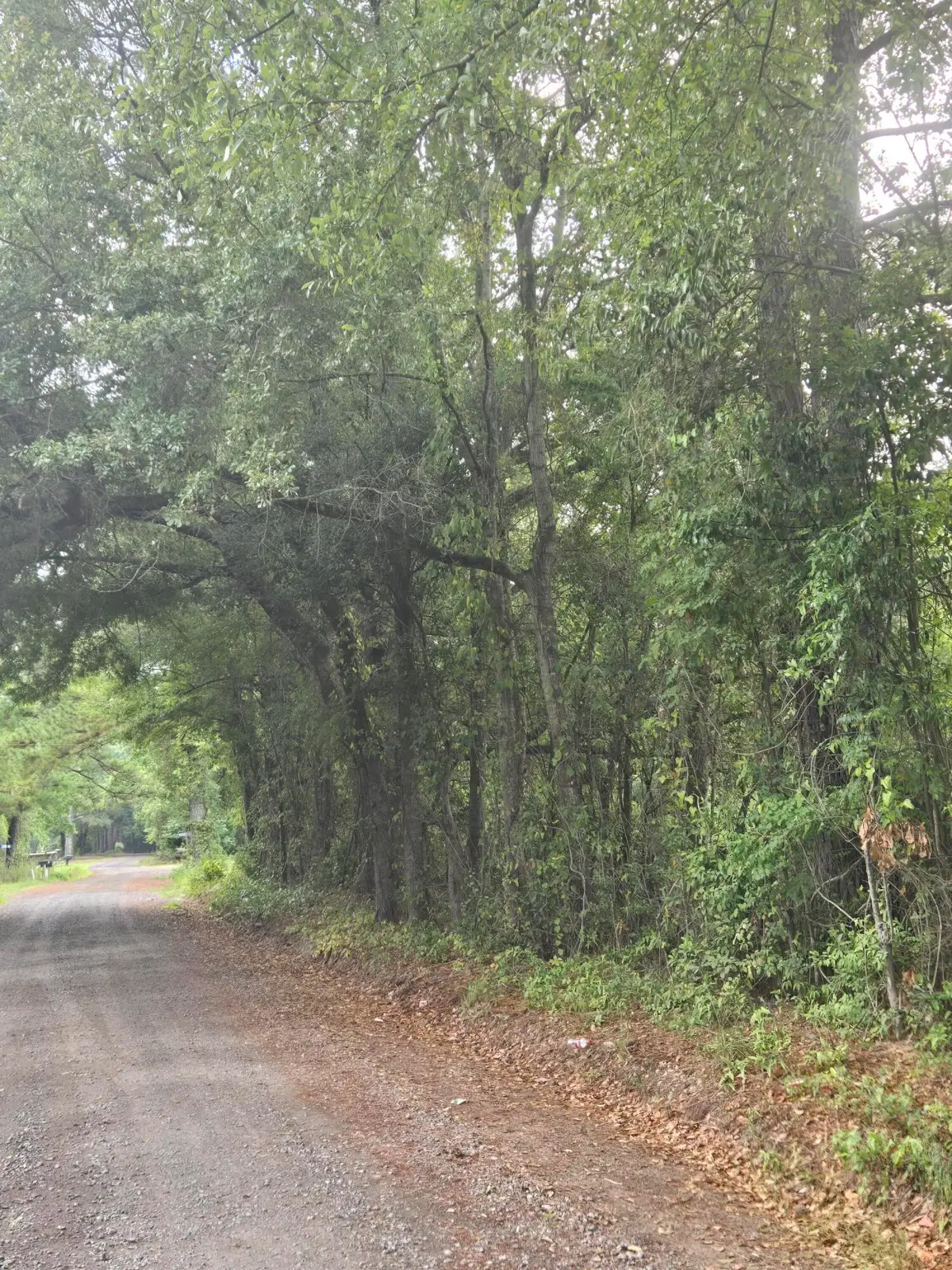 0 Rodenberry Road, Cross, SC 29436 - Image #1