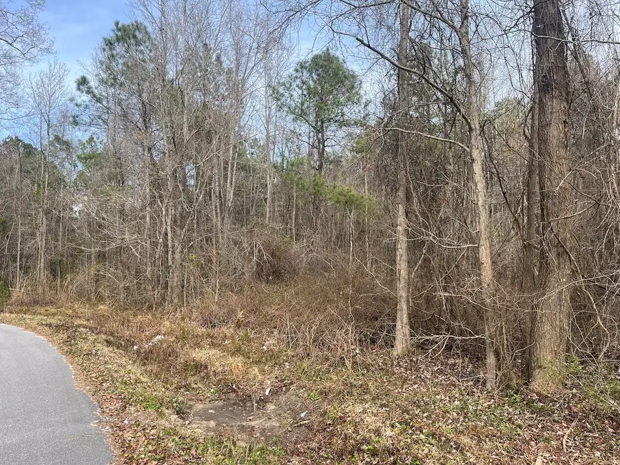 01 Bee Drive, Walterboro, SC 29488 - Image #2