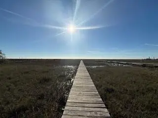 0 Hammocks Way, Edisto Island, SC 29438