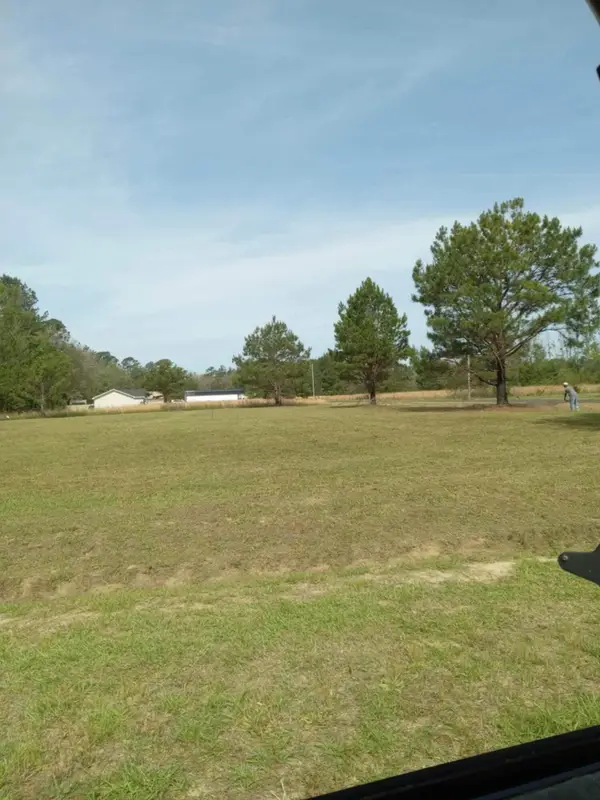 250 Dandelion Ct, Round O, SC 29474