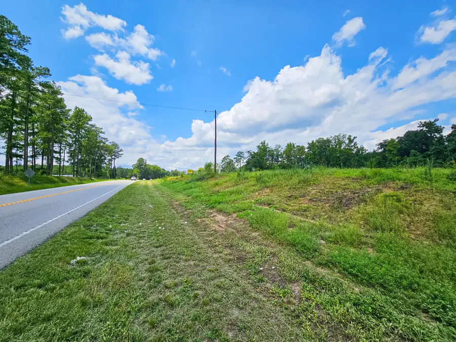 0 Bells Highway & Jones Swamp Highway, Walterboro, SC 29488 - Image #2