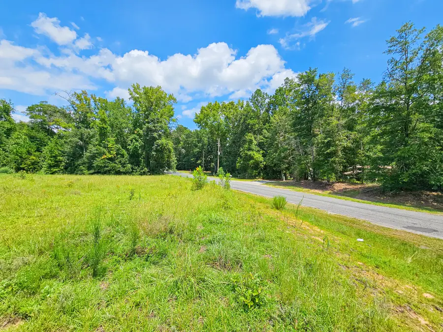 0 Bells Highway & Jones Swamp Highway, Walterboro, SC 29488 - Image #3