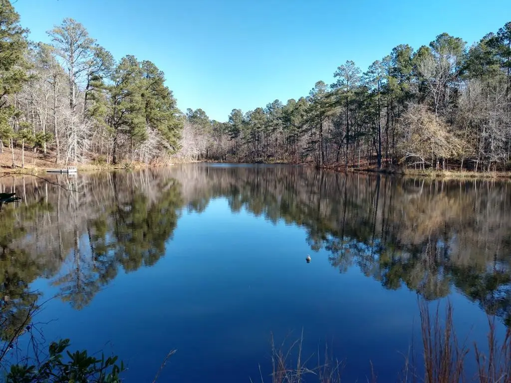 0 Paddock Bend, Aiken, SC 29803 - #1