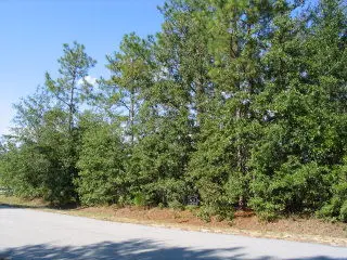 0 Shore Drive #Lot 30, Orangeburg, SC 29118 - Image #1