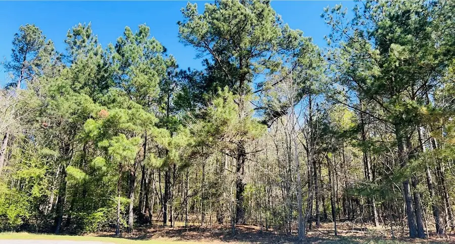 142 Brown Meadows Court, Orangeburg, SC 29115 - Image #2