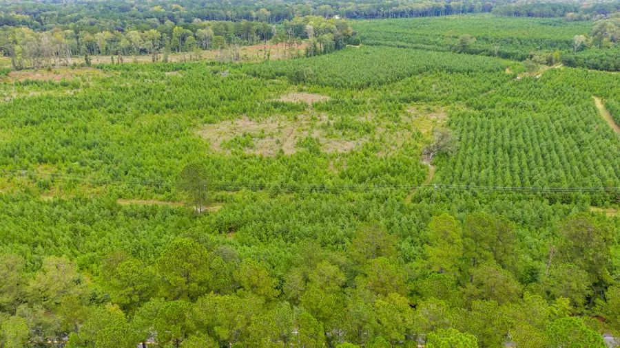 0 Charleston Highway, Walterboro, SC 29488 - Image #2