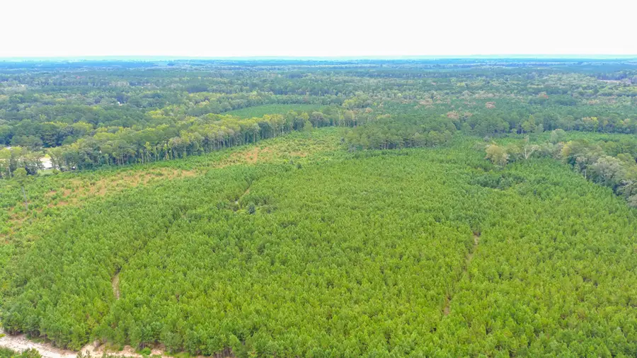 0 Charleston Highway, Walterboro, SC 29488 - Image #3