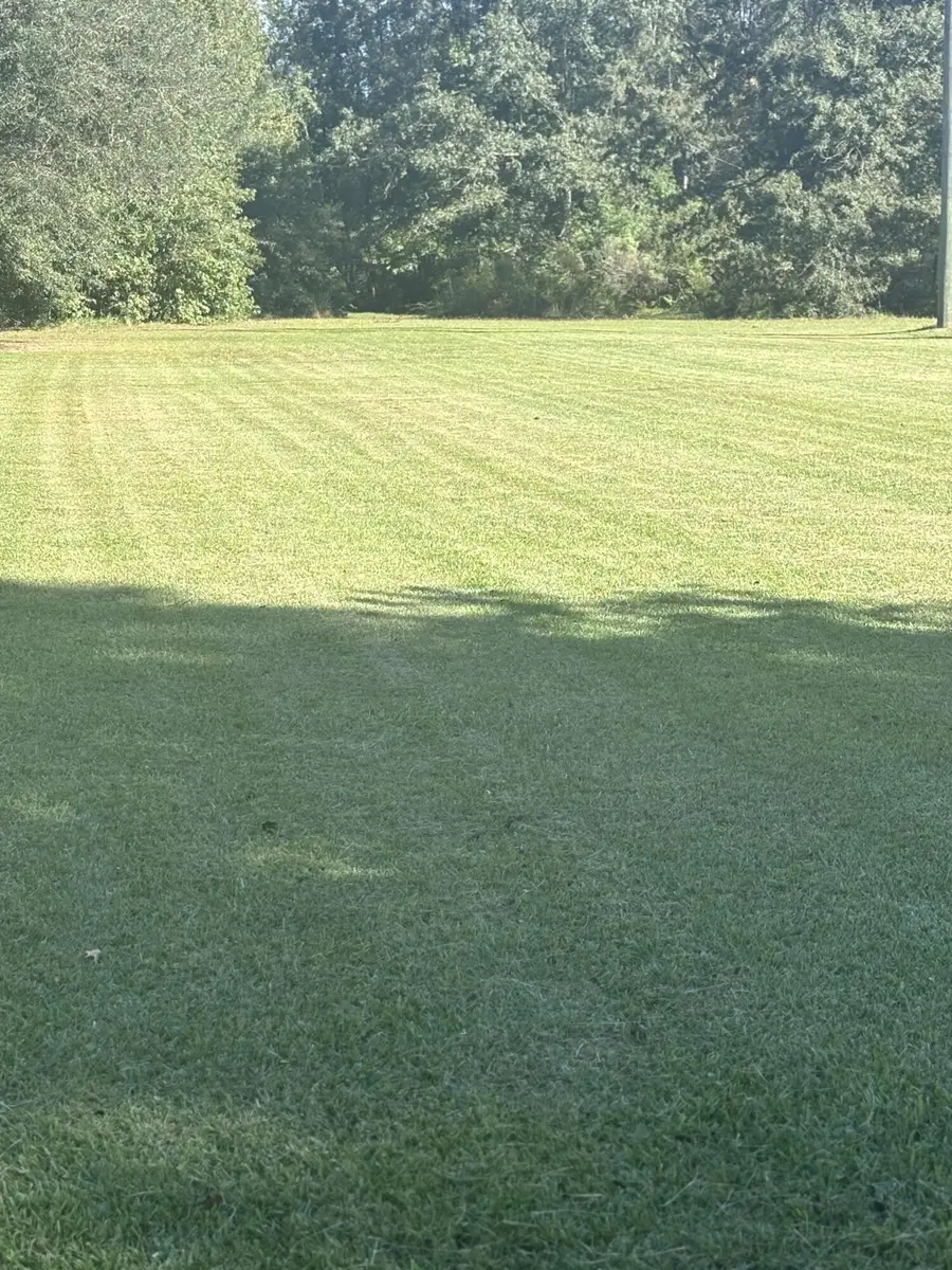 18 Kelly Road, Seabrook, SC 29940 - Image #3