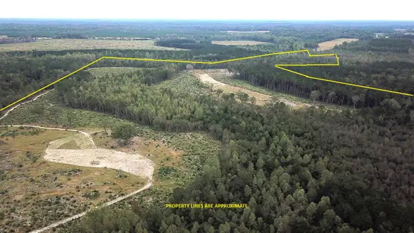 00 Fellowship Road, Williston, SC 29853