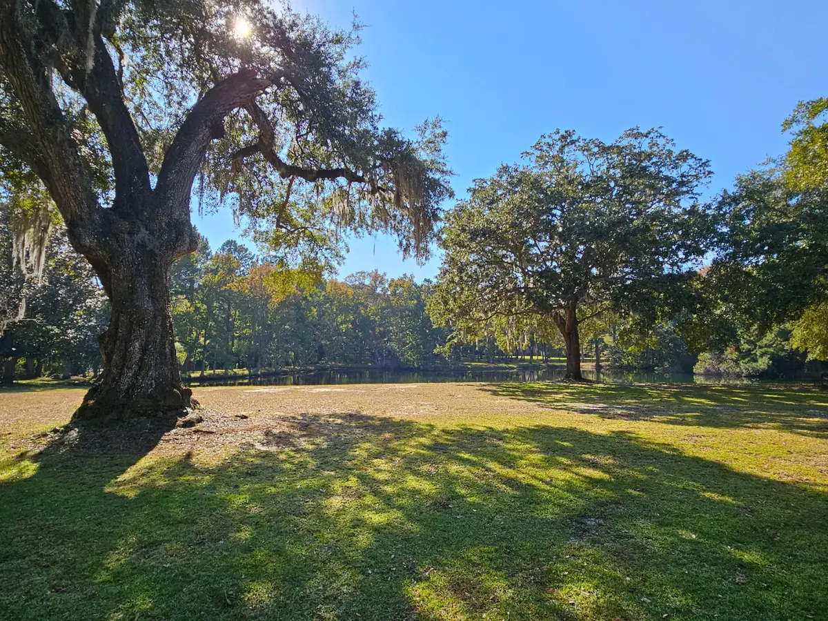 4139 Pritchard Green Road, Awendaw, SC 29429 - #1