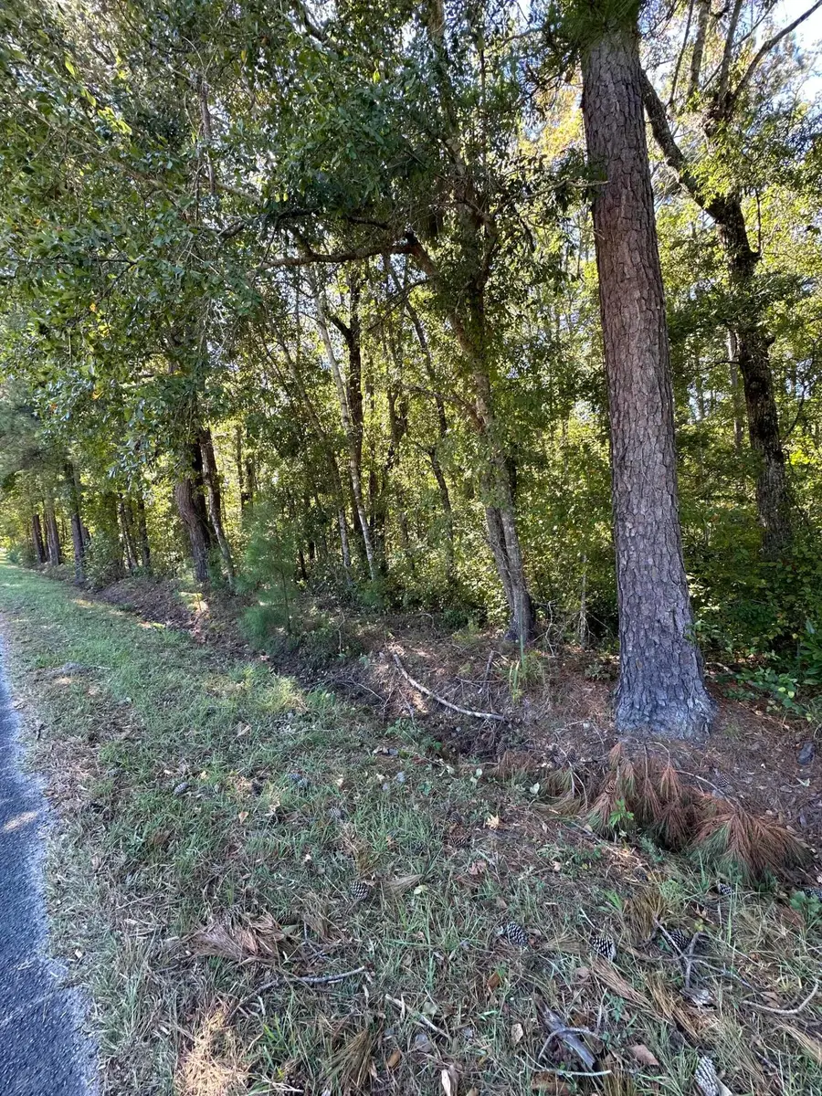 126 Old Still Lane, Bonneau, SC 29431 - Image #2