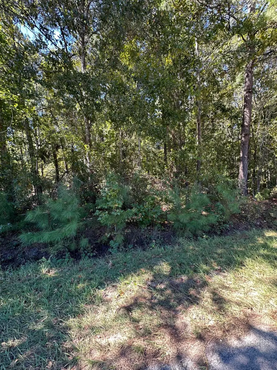 126 Old Still Lane, Bonneau, SC 29431 - Image #3