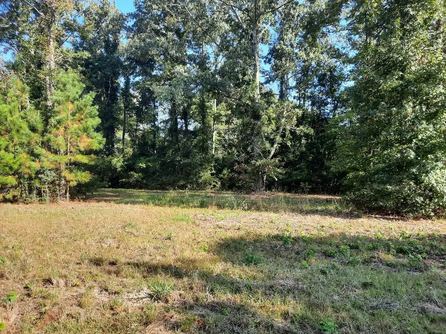 769 Main Road, Johns Island, SC 29455 - #2