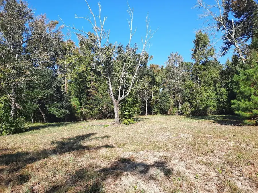 769 Main Road, Johns Island, SC 29455 - #3