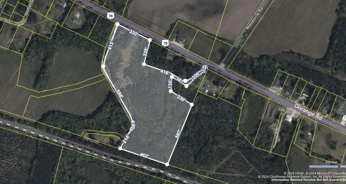 0 Bethel Cemetery Road, Reevesville, SC 29471 - Image #1