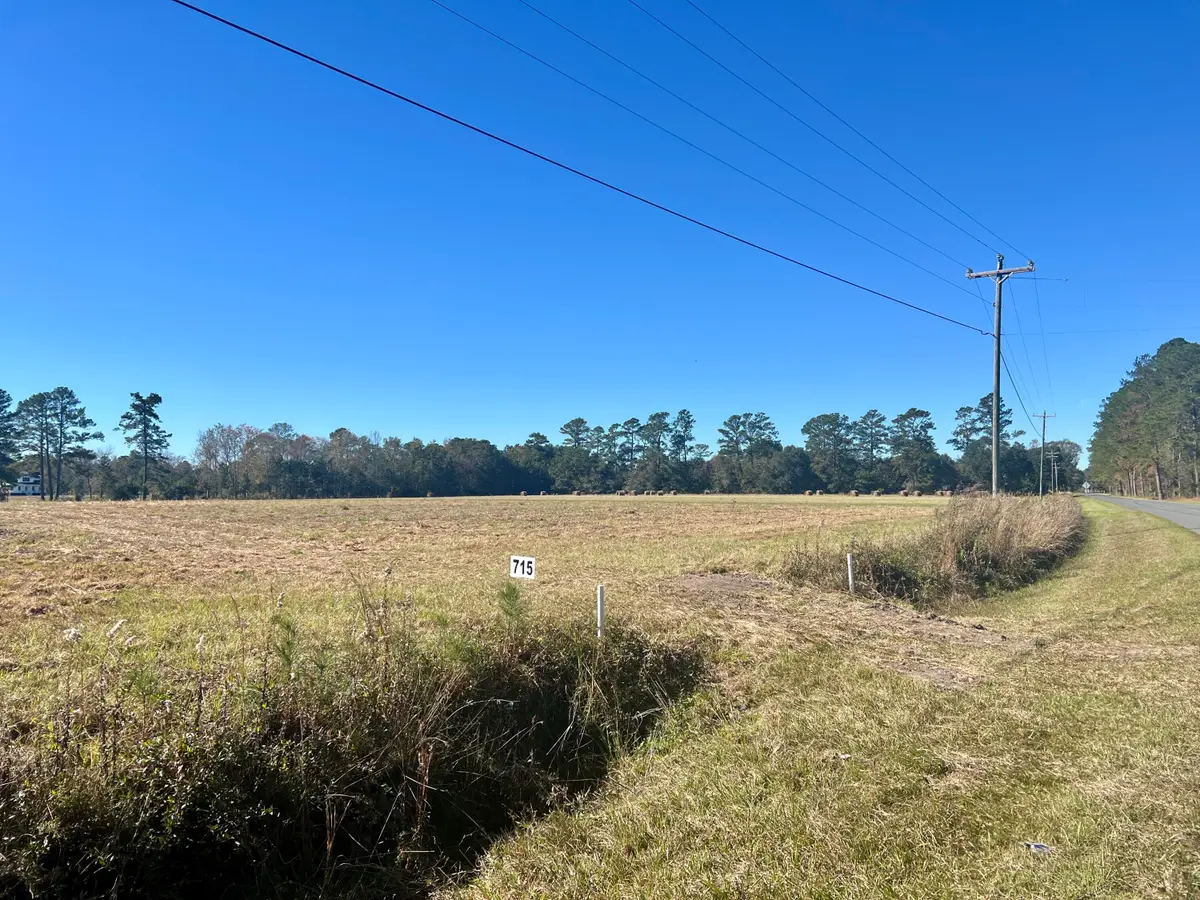 715 Nunuville Road, Walterboro, SC 29488 - Image #1