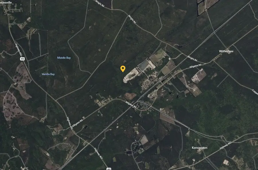 0 Backwoods Way, Cordesville, SC 29434 - Image #3