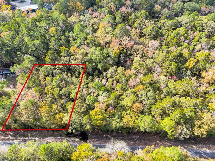 107 Weir Street, Summerville, SC 29483 - Image #2