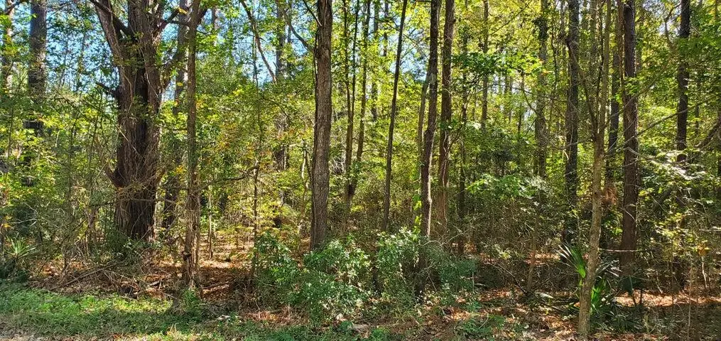 Lot 55 Mabe Drive, Summerton, SC 29148 - Image #1