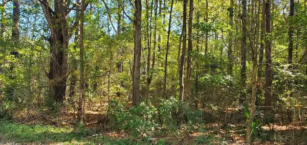 Lot 55 Mabe Drive, Summerton, SC 29148