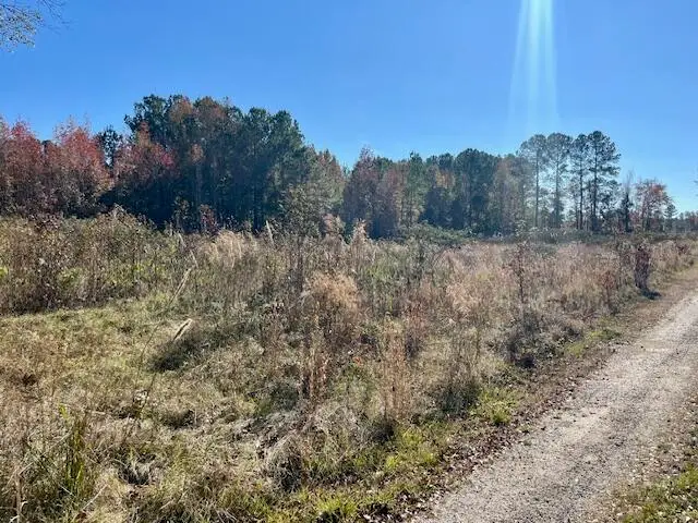 168 Country Downs Lane, Reevesville, SC 29471 - Image #3