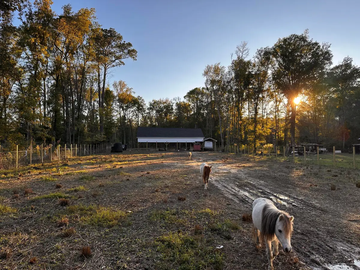 00 Sullivans Ferry Road, Cottageville, SC 29435 - #1