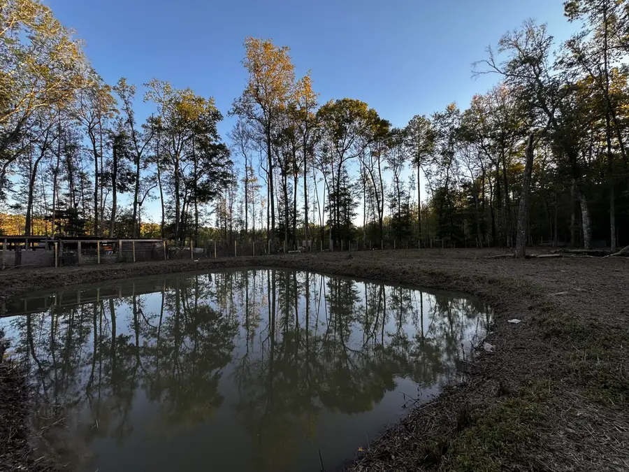 00 Sullivans Ferry Road, Cottageville, SC 29435 - #3