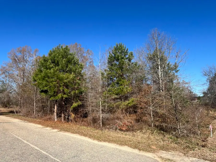 0 Tennis Lane, Summerton, SC 29148 - #2