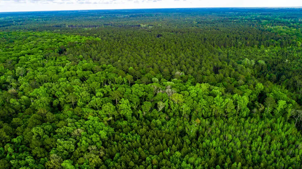 Tbd Dunham Williams Road, Hardeeville, SC 29927 - #1