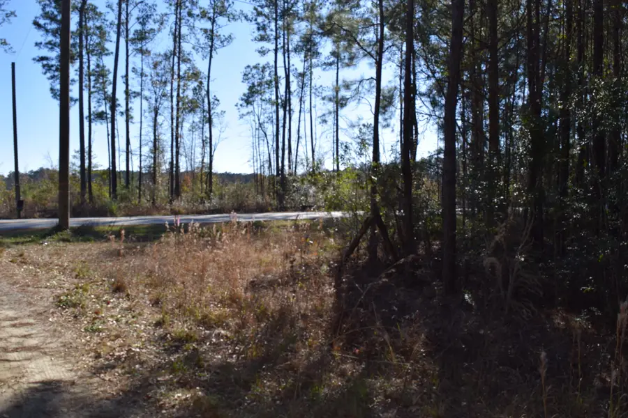 0 Black Tom Road, Moncks Corner, SC 29461 - #3