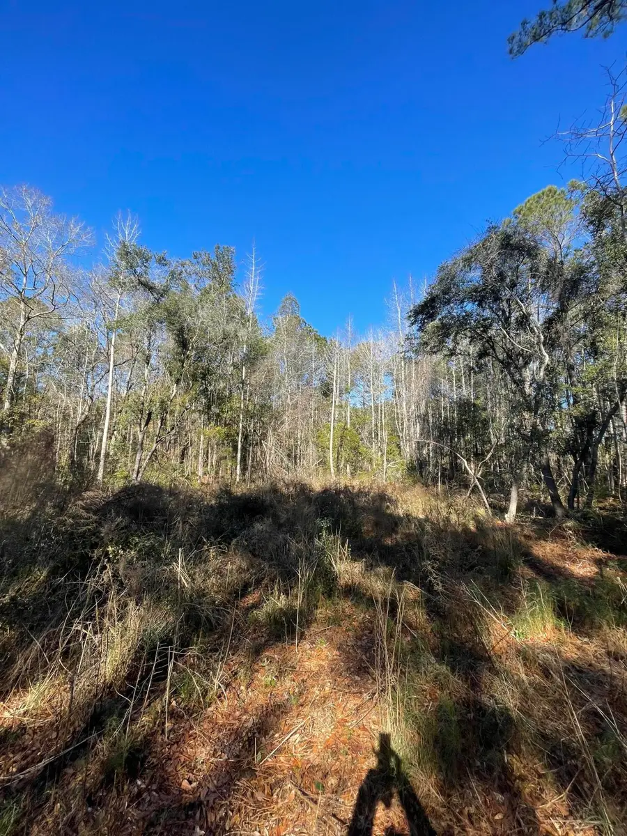 00 N Hwy 17, Awendaw, SC 29429 - #2