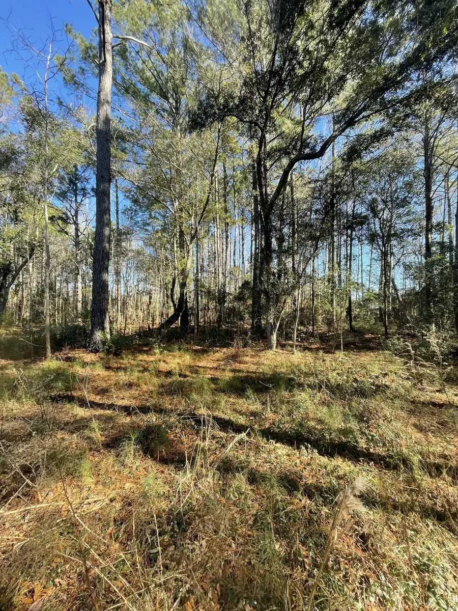 00 N Hwy 17, Awendaw, SC 29429 - #3